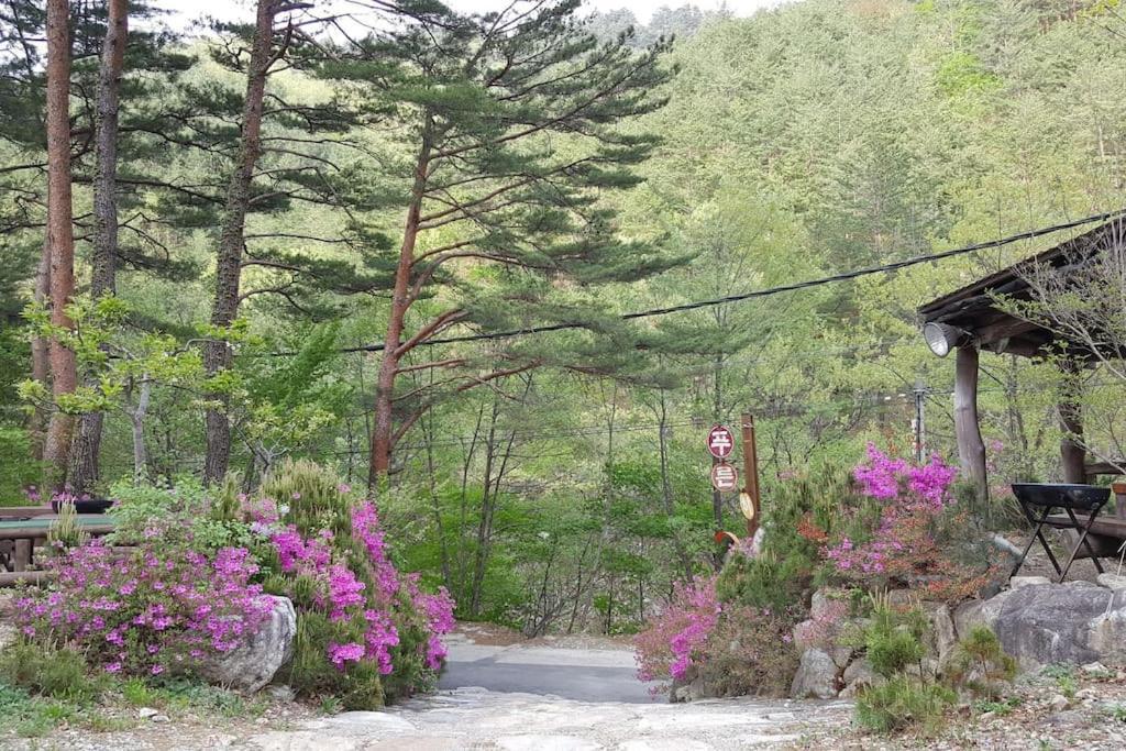 Blue Sky Milky Way Pension Yangyang Exterior photo